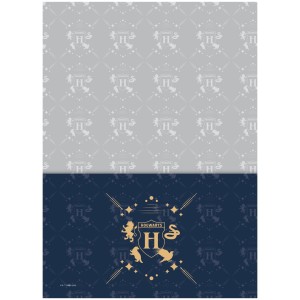 Caderno 10 Matérias Universitário Espiral Harry Potter - Jandaia