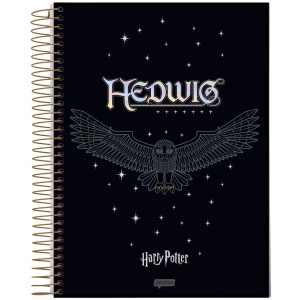 Caderno 10 Matérias Universitário Espiral Harry Potter Premium - Jandaia