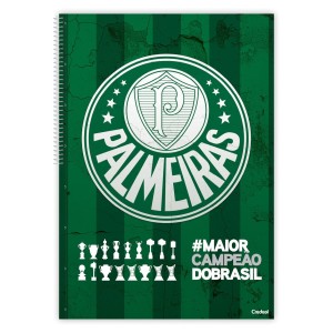 Caderno 1 Matéria Universitário Espiral Palmeiras - Credeal