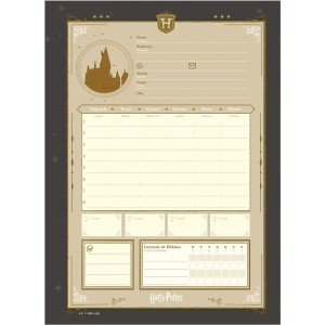 Caderno 20 Matérias Universitário Espiral Harry Potter - Jandaia