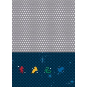 Caderno 10 Matérias COLEGIAL Espiral Harry Potter - Jandaia