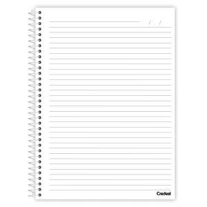 Caderno 16 Matérias Universitário Espiral Palmeiras - Credeal