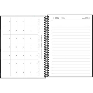 Agenda Executiva Espiral Diária 20 x 27,5 cm Spot 2026 Sortida - Tilibra