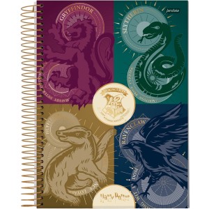 Caderno 1 Matéria Universitário Espiral Harry Potter - Jandaia