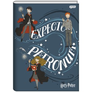 Caderno Brochurão Capa Dura Harry Potter 96 Folhas Kit com 4 unidades - Jandaia
